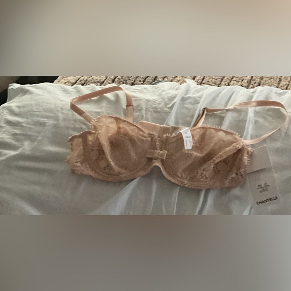 Chantelle Lace Bra - Nude